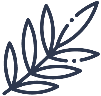 review icon